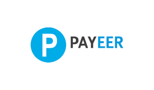 Payeer Payment Module for SMM Panel